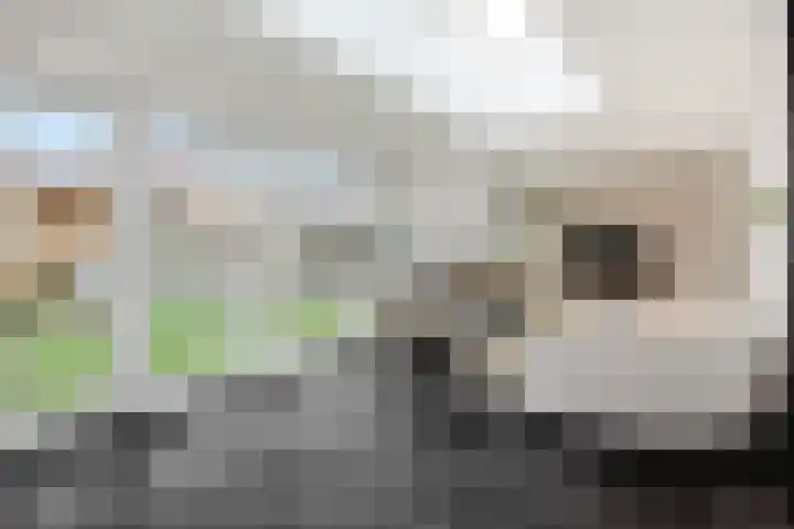 Hertelaan 31 Helmond thumbnail 15