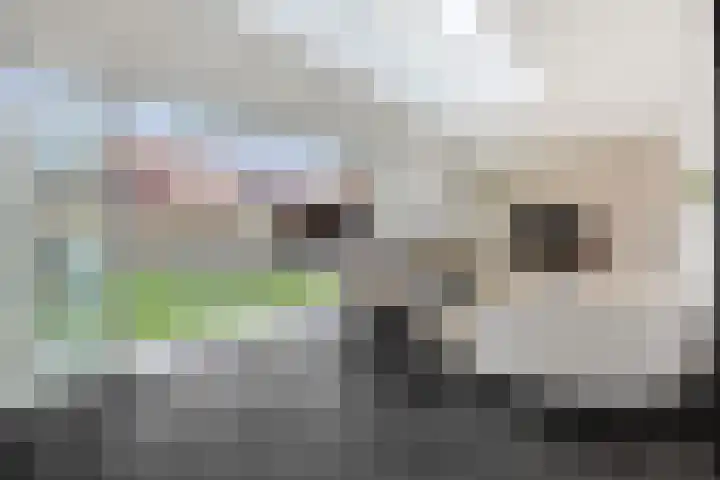Hertelaan 31 Helmond thumbnail 16