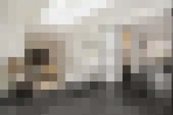 Hertelaan 31 Helmond thumbnail 22