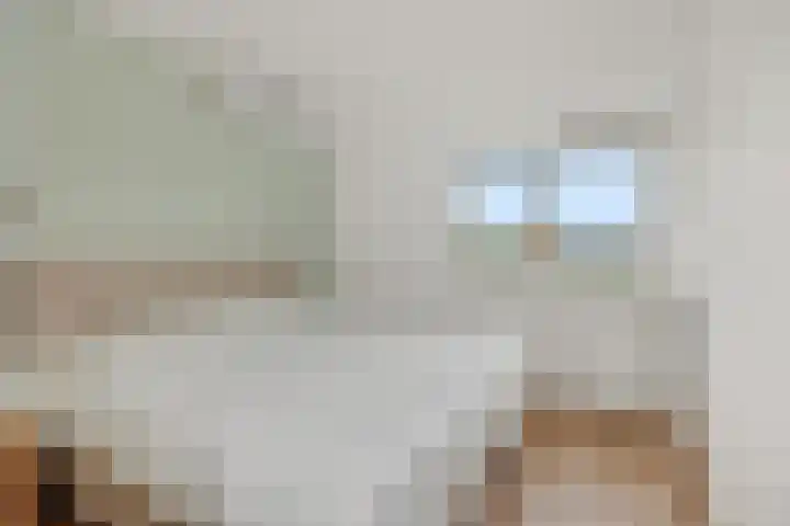 Hertelaan 31 Helmond thumbnail 36