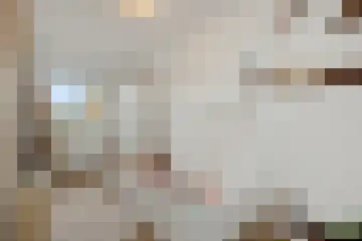 Hertelaan 31 Helmond thumbnail 38