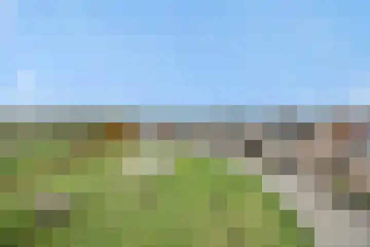 Hertelaan 31 Helmond thumbnail 4