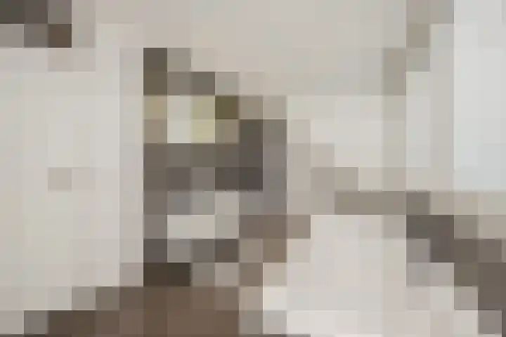 Hertelaan 31 Helmond thumbnail 41