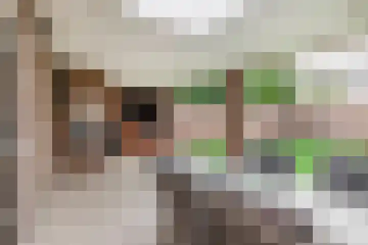 Hertelaan 45 Helmond thumbnail 26