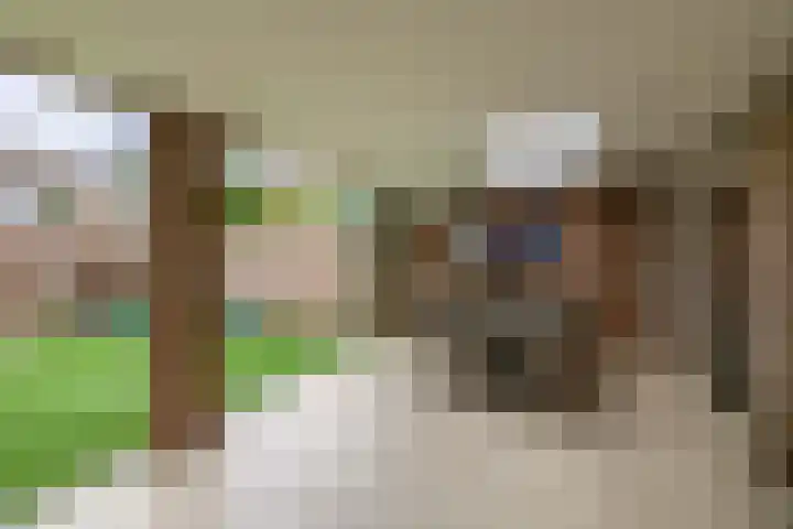 Hertelaan 45 Helmond thumbnail 27