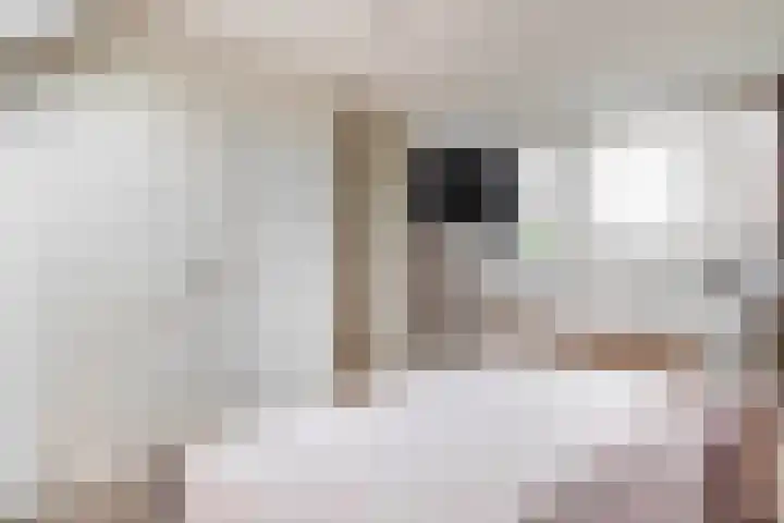 Hertelaan 45 Helmond thumbnail 37