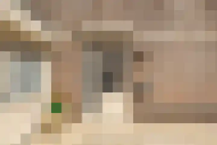 Hertelaan 45 Helmond thumbnail 8