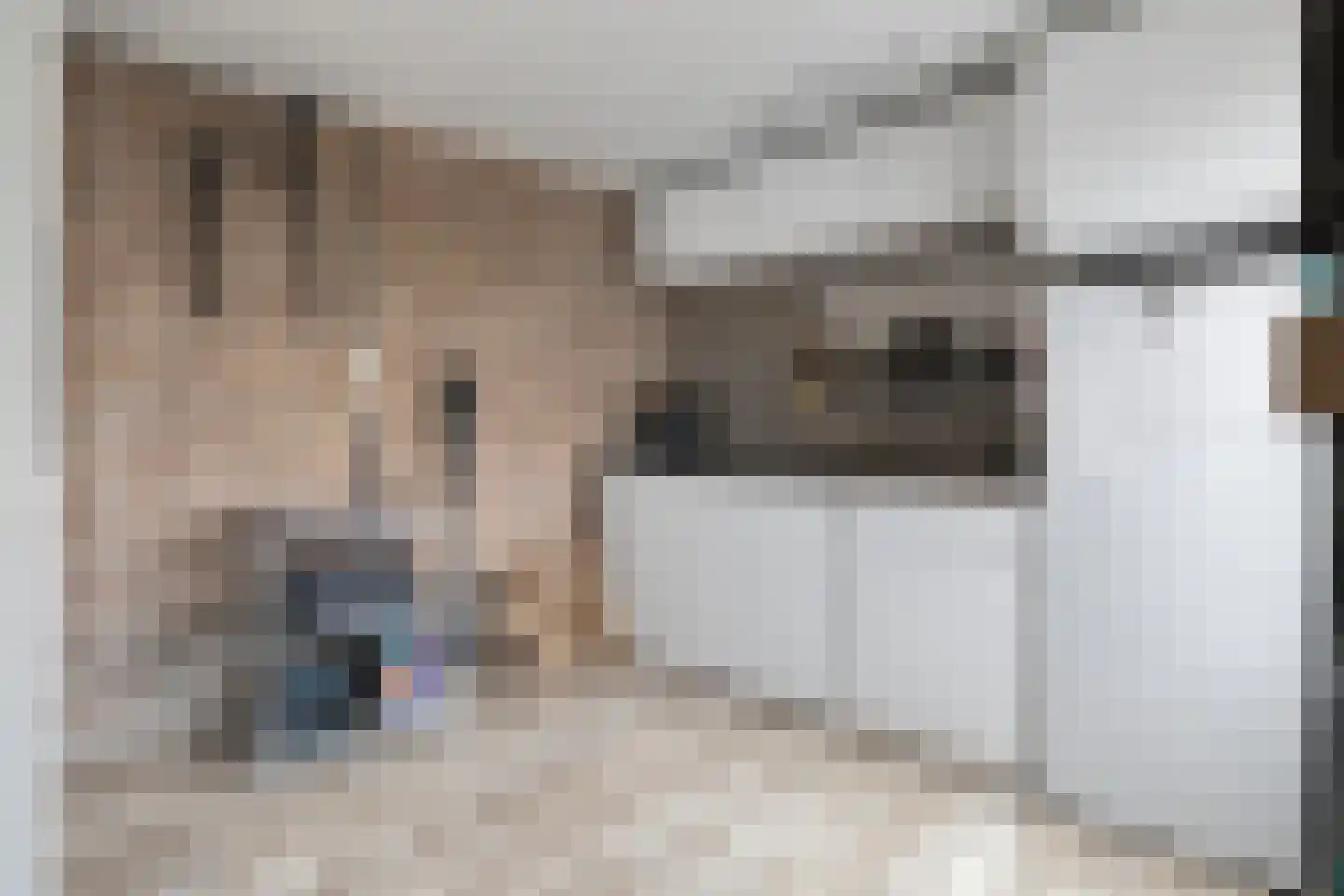 Hertelaan 61 Helmond thumbnail 36