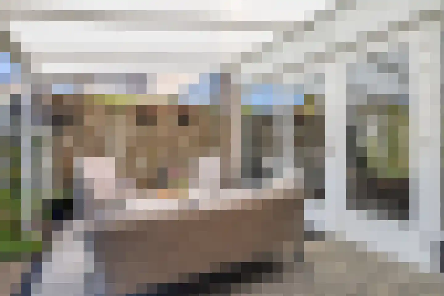 Hertelaan 61 Helmond thumbnail 38