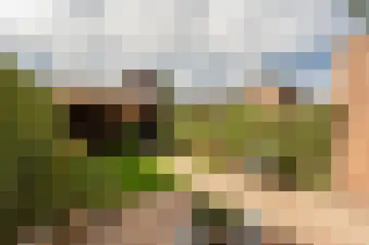 Hertenburg 18 Barendrecht thumbnail 34