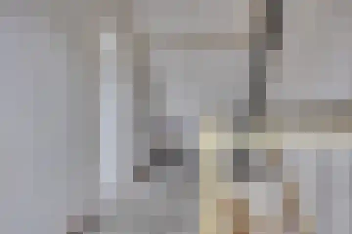 Hertenhoeve 3 Leusden thumbnail 21