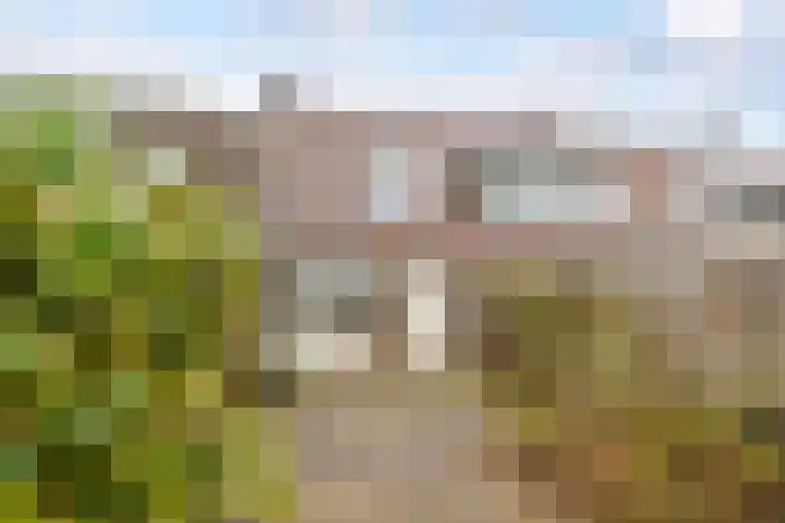 Hertenhoeve 3 Leusden thumbnail 25