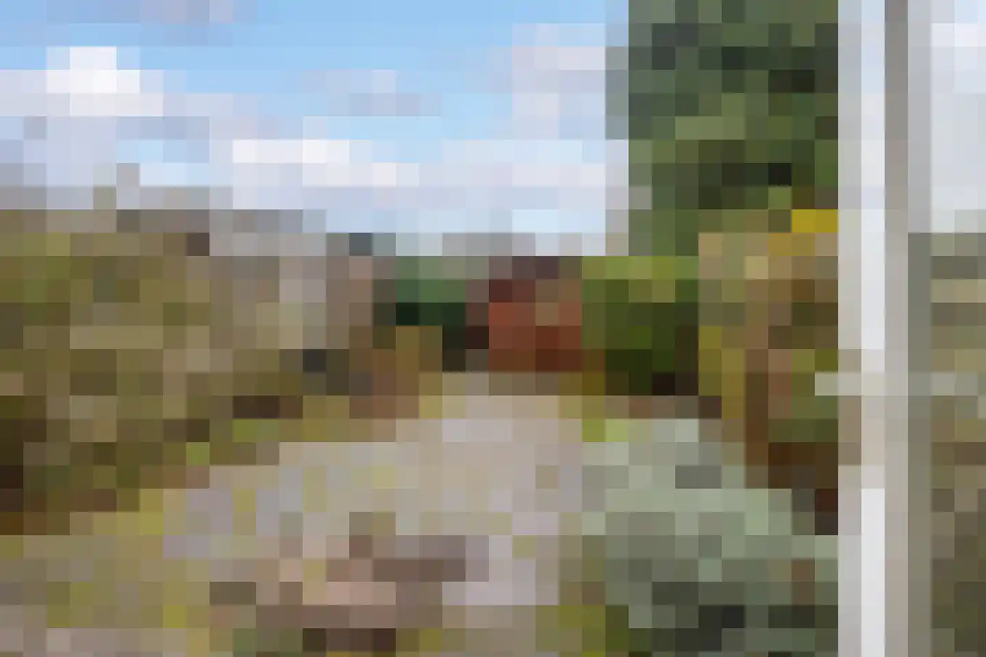 Hertenhoeve 3 Leusden thumbnail 26