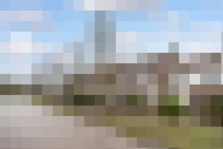 Hertenhoeve 3 Leusden thumbnail 30