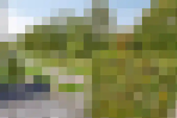 Hertenkamp 15 Zeewolde thumbnail 25
