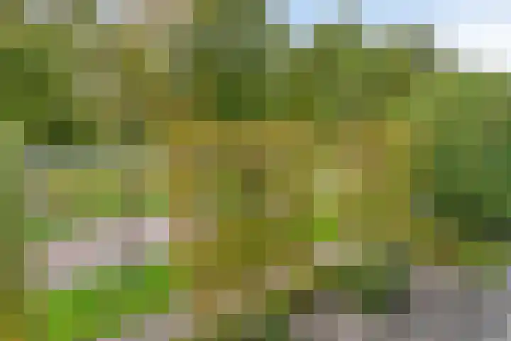 Hertenkamp 15 Zeewolde thumbnail 26