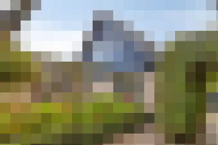 Hertenkamp 15 Zeewolde thumbnail 40