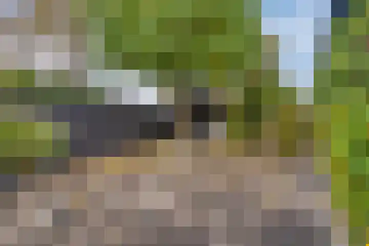 Hertenkamp 15 Zeewolde thumbnail 43