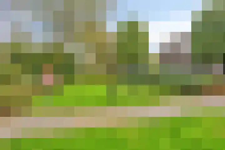 Hertenkamp 15 Zeewolde thumbnail 49