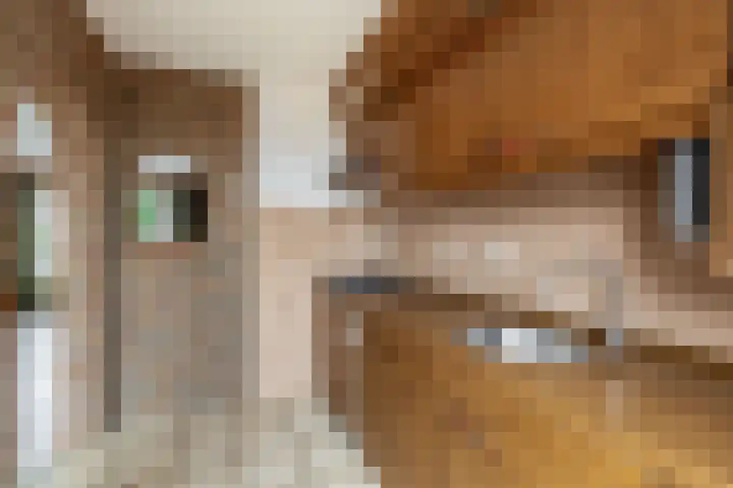 Hertenkamp 22 Tegelen thumbnail 11