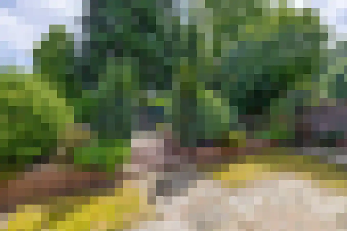 Hertenkamp 22 Tegelen thumbnail 23