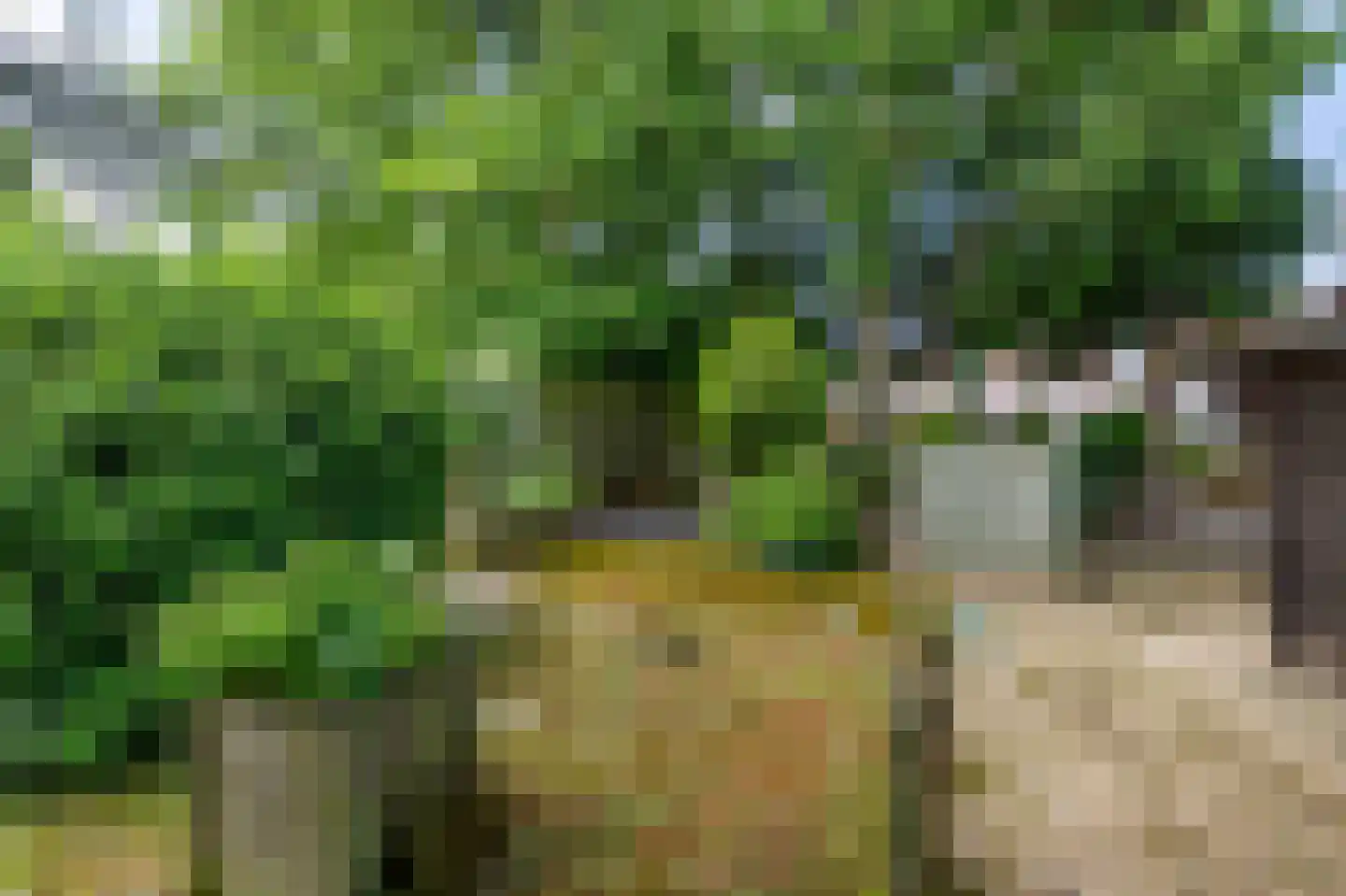 Hertenkamp 22 Tegelen thumbnail 26