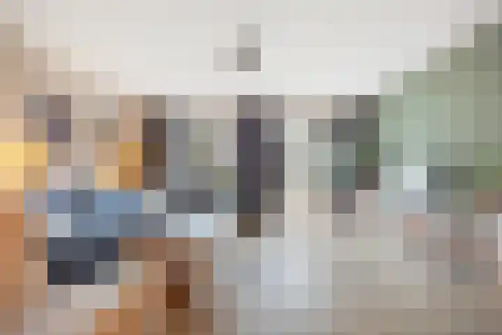 Hertenkamp 31 Horssen thumbnail 12