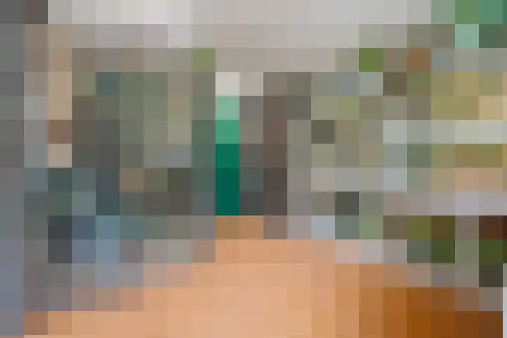 Hertenkamp 31 Horssen thumbnail 19