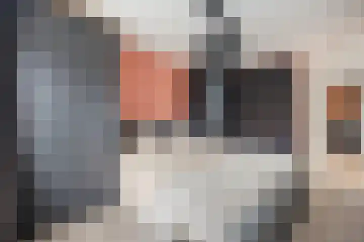 Hertenkamp 31 Horssen thumbnail 25