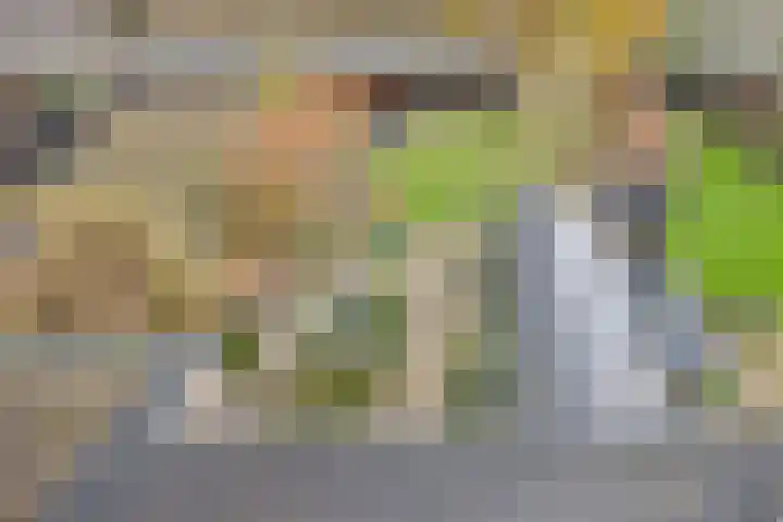 Hertenkamp 31 Horssen thumbnail 42
