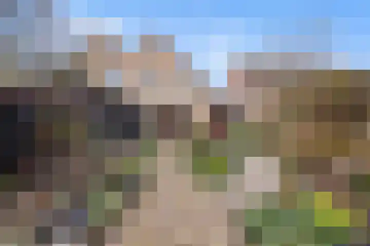 Hertenkamp 31 Horssen thumbnail 43