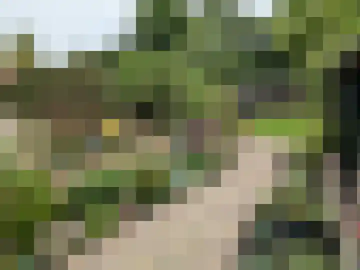 Hertenkamp 31 Horssen thumbnail 45