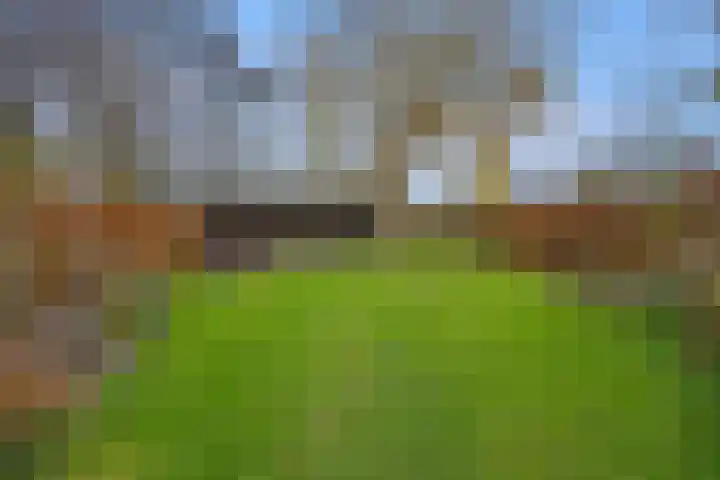Hertenkamp 31 Horssen thumbnail 46