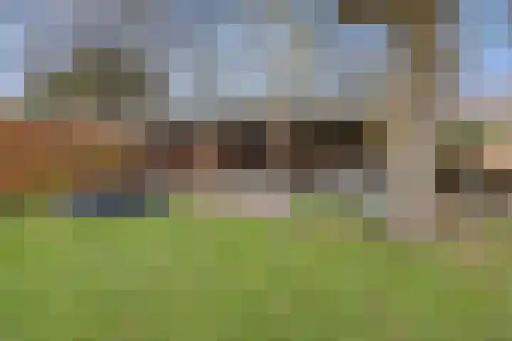 Hertenkamp 31 Horssen thumbnail 47