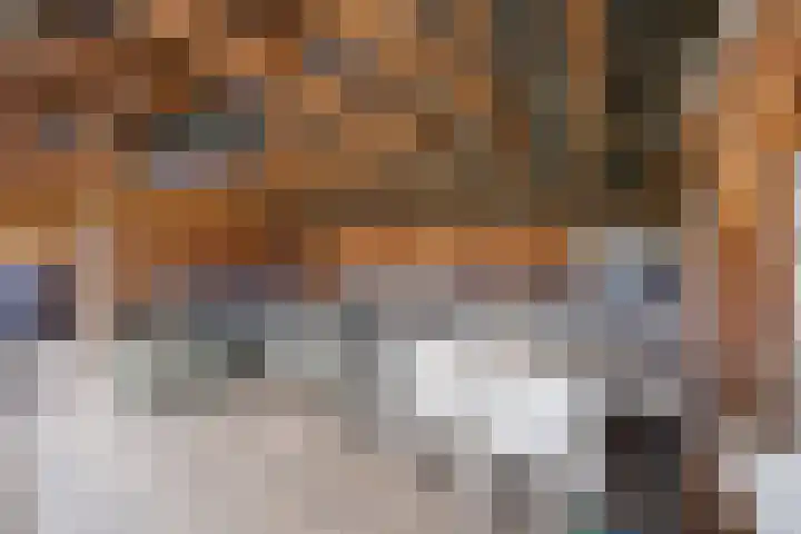 Hertenkamp 31 Horssen thumbnail 48
