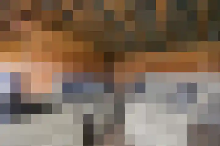 Hertenkamp 31 Horssen thumbnail 49
