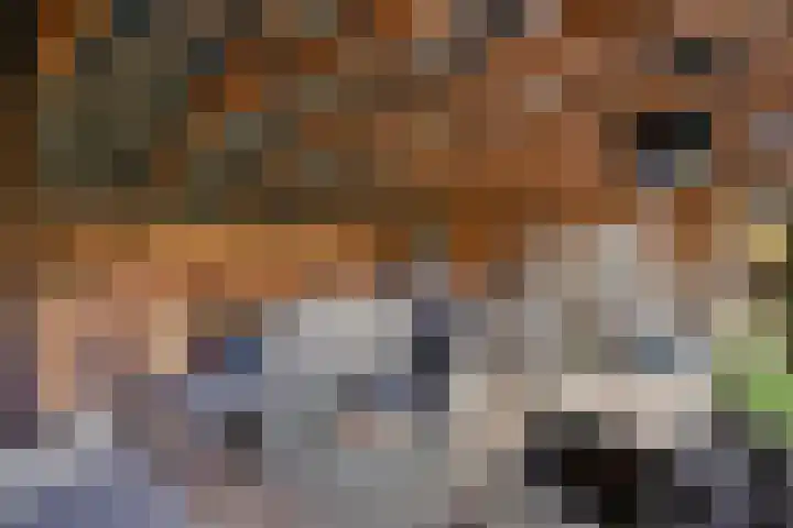 Hertenkamp 31 Horssen thumbnail 51