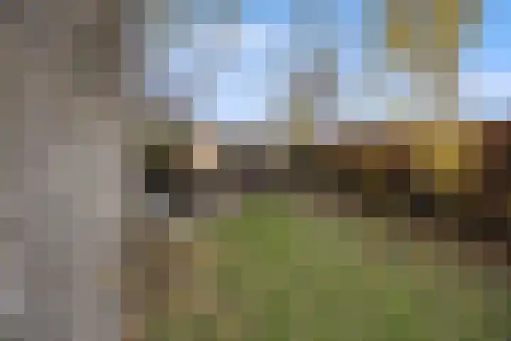 Hertenkamp 31 Horssen thumbnail 52