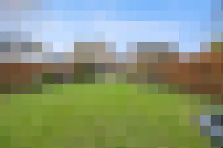 Hertenkamp 31 Horssen thumbnail 53