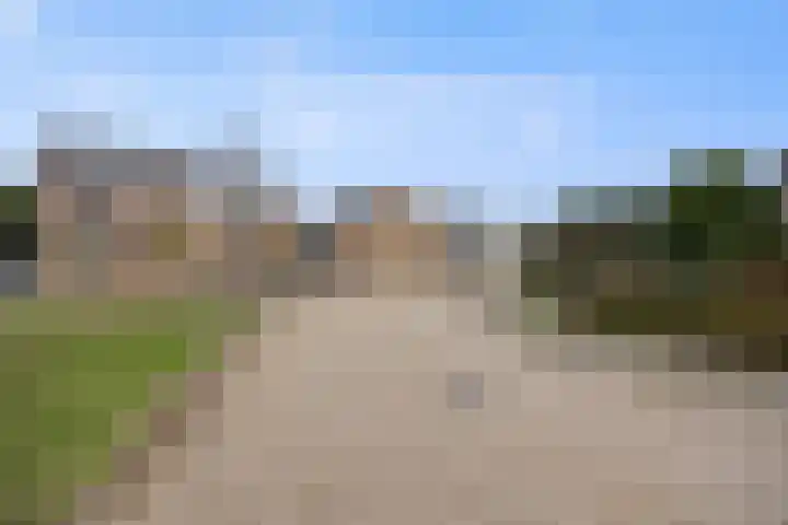 Hertenkamp 31 Horssen thumbnail 58