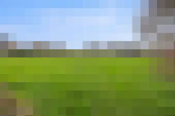 Hertenkamp 31 Horssen thumbnail 59
