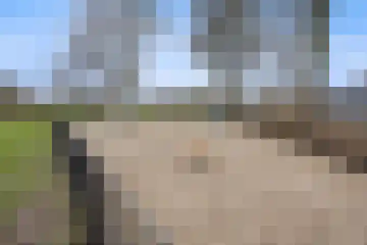 Hertenkamp 31 Horssen thumbnail 60