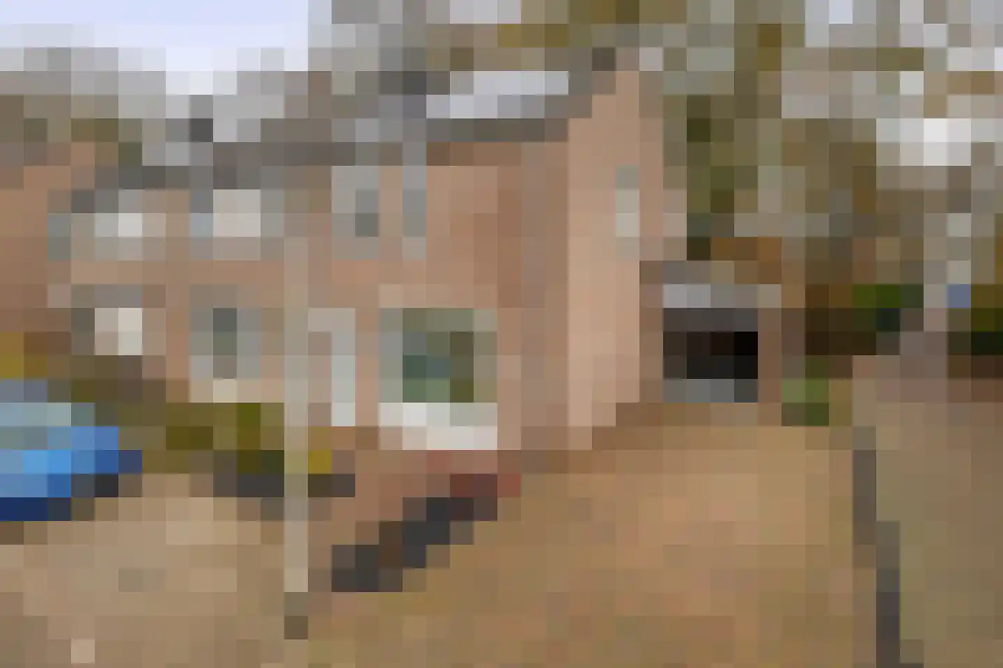 Hertenkamp 74 Tegelen thumbnail 23