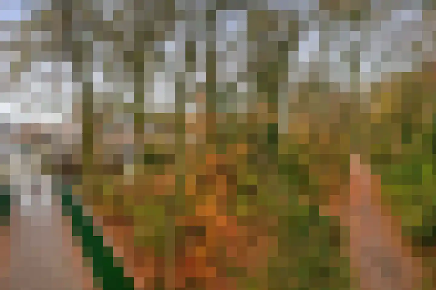 Hertenkamp 74 Tegelen thumbnail 24