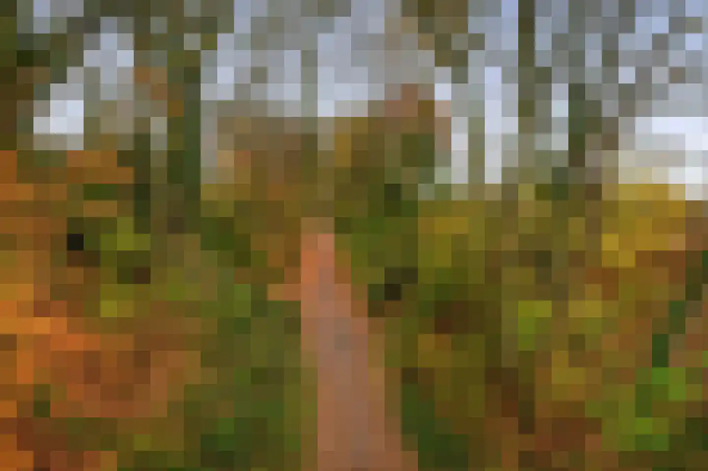 Hertenkamp 74 Tegelen thumbnail 25