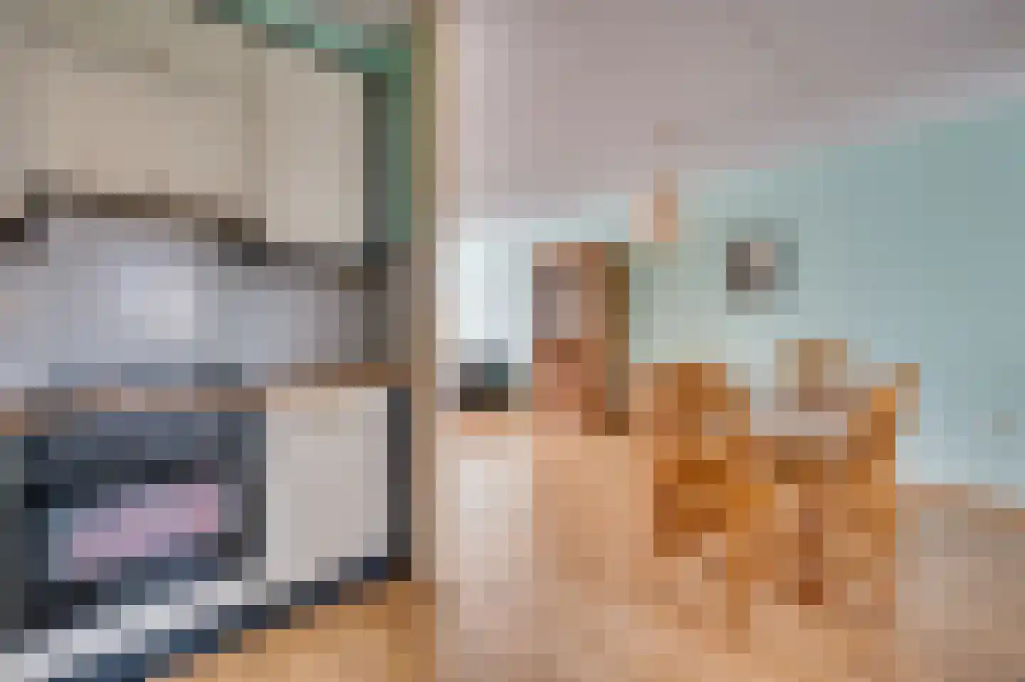 Hertenkamp 76 Tegelen thumbnail 11