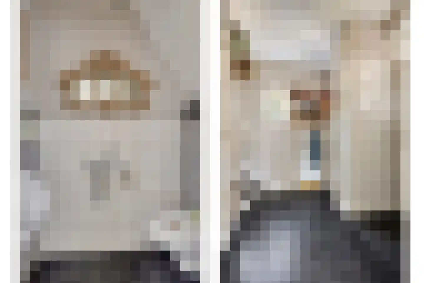 Hertenkampstraat 20 Mierlo thumbnail 10