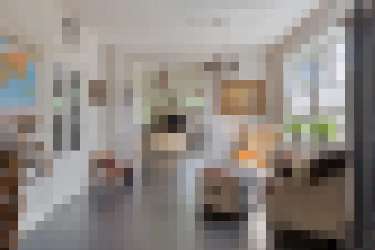Hertenkampstraat 20 Mierlo thumbnail 14