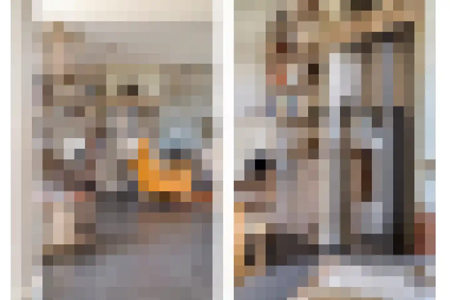 Hertenkampstraat 20 Mierlo thumbnail 16