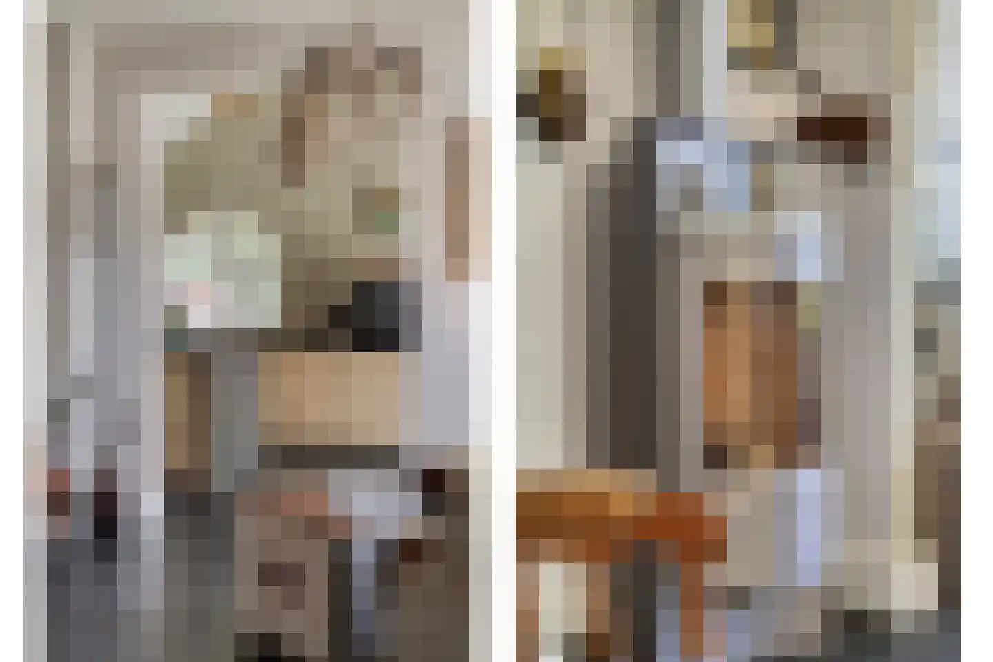 Hertenkampstraat 20 Mierlo thumbnail 17